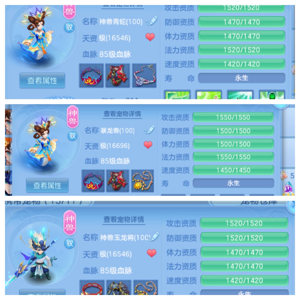 编号30423心心相印95女普陀，126邮箱，无双重。
