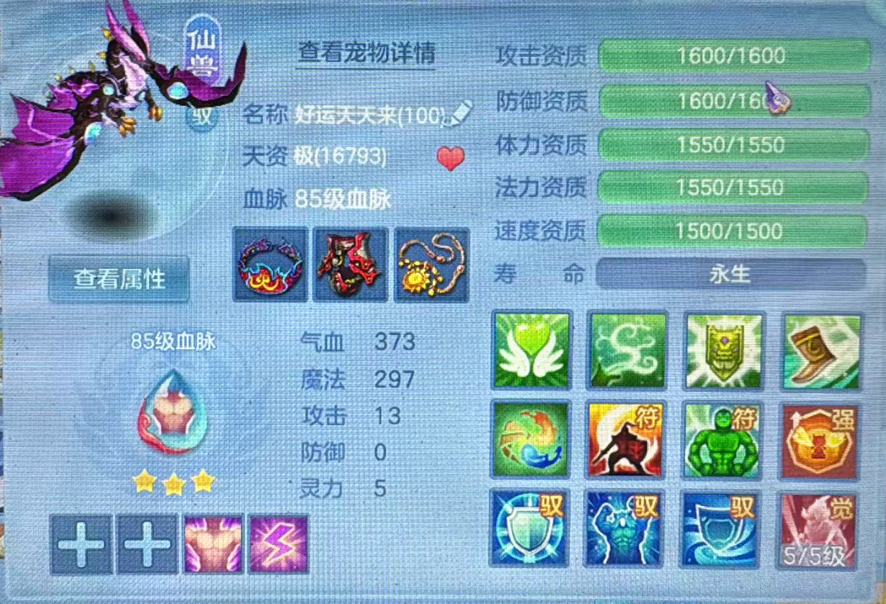 编号33597神来气旺95女佛门，1仙兽1强化，163邮箱，关联收验证，有双重。