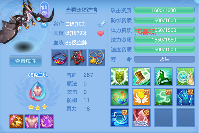 编号11050周年相伴95男天宫，163邮箱，有双重