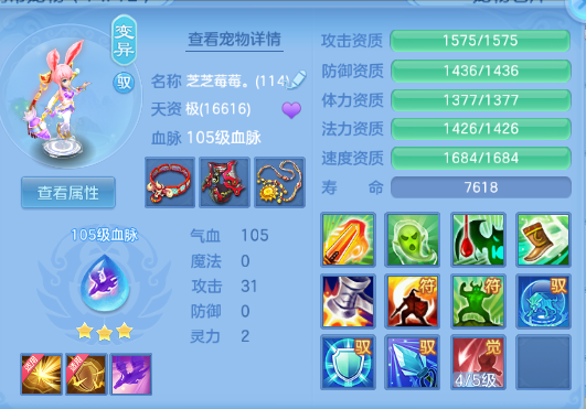 微信图片_20260611124609_31_11371.png